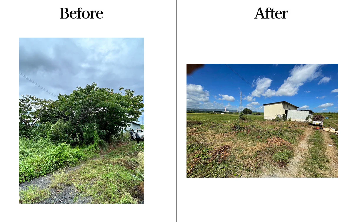 倉庫横の広場の伐採