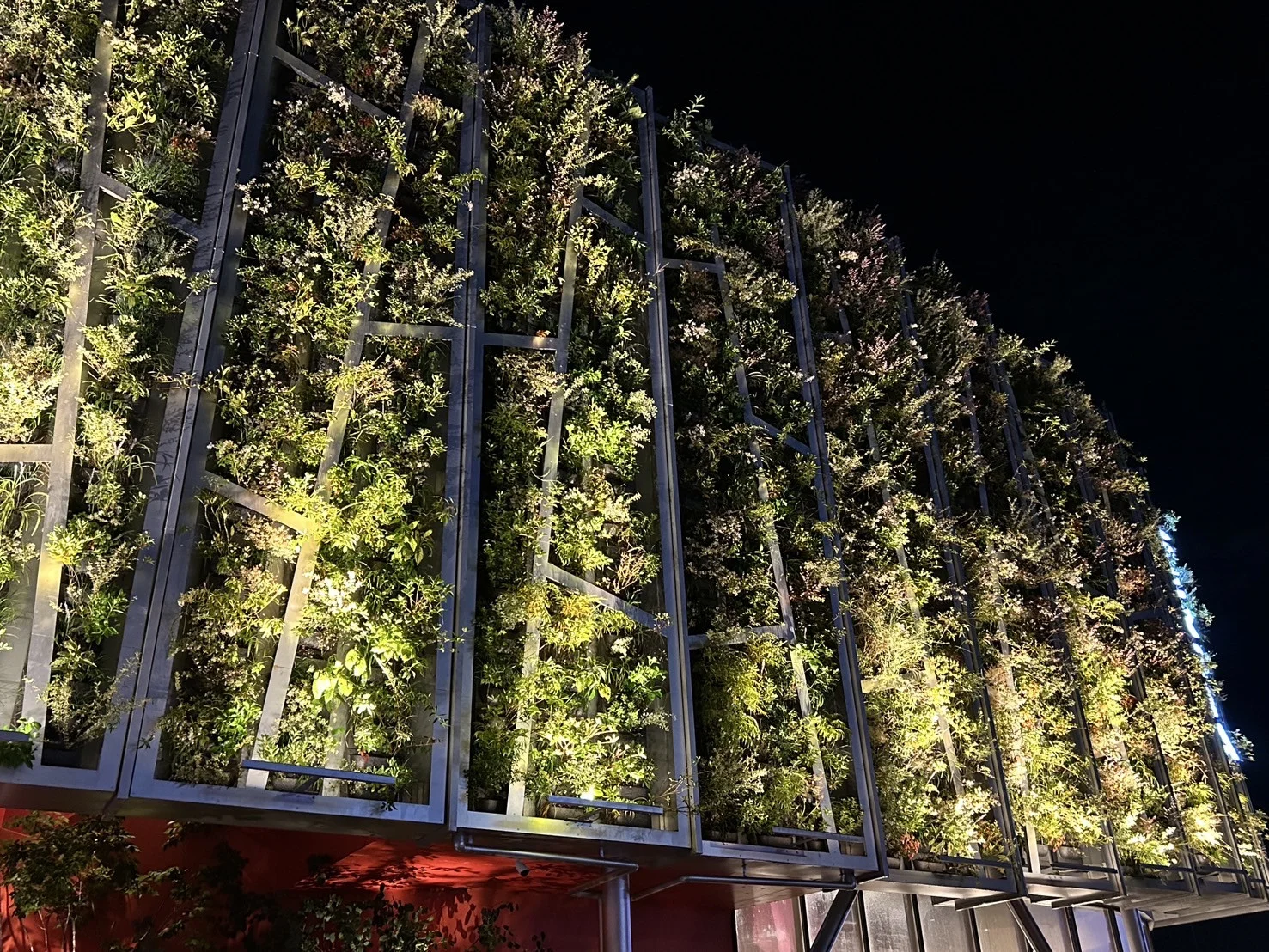 大阪万博2025の植栽・デザイン⑤