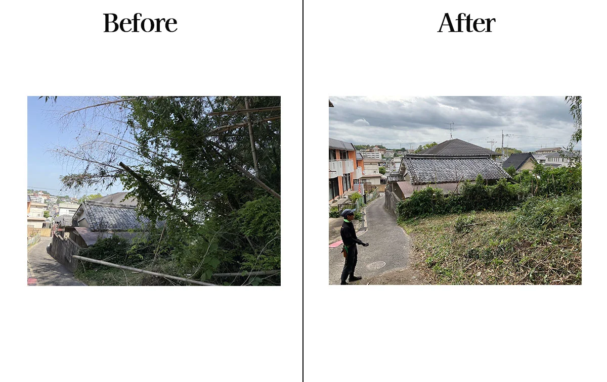 放置林の伐採・整備でした